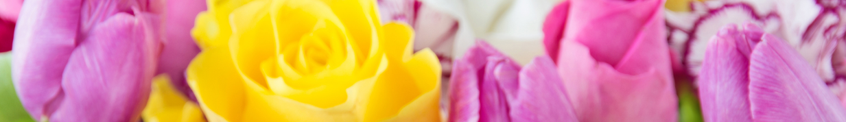 Same day flower delivery Toronto – Toronto flowers gifts