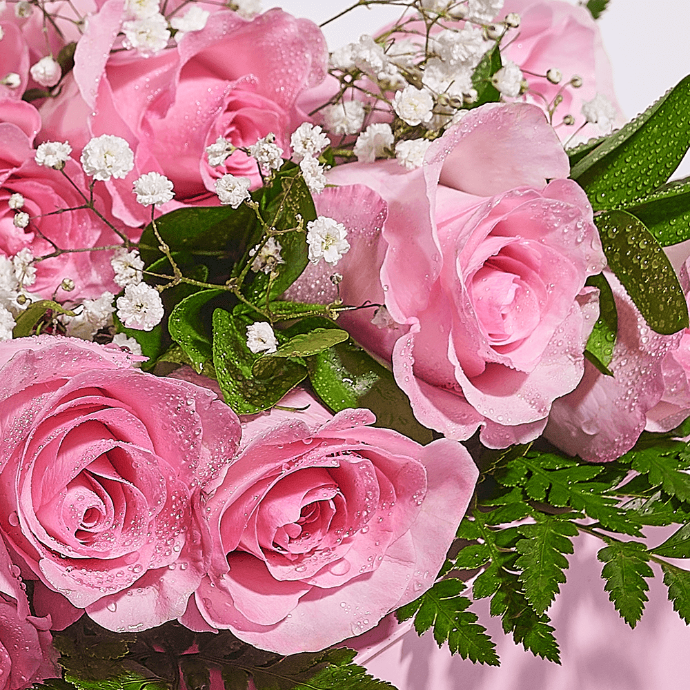Mother's Day 12 Stem Pink & White Rose Bouquet with Box, Bear, & Chocolate, mothers day gift, mothers day, plush gift, plush, rose gift, rose, Connecticut delivery