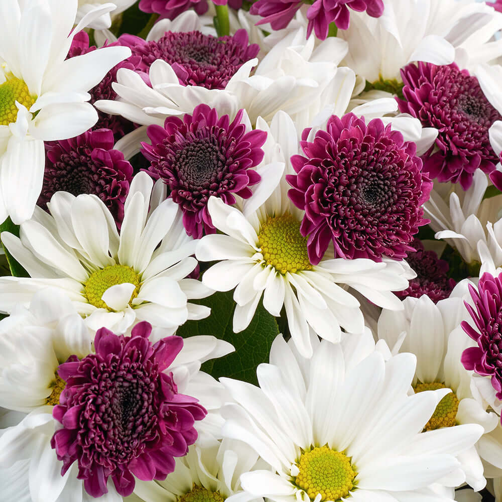 Mother's Day Spring Daisy Bouquet - Connecticut Delivery