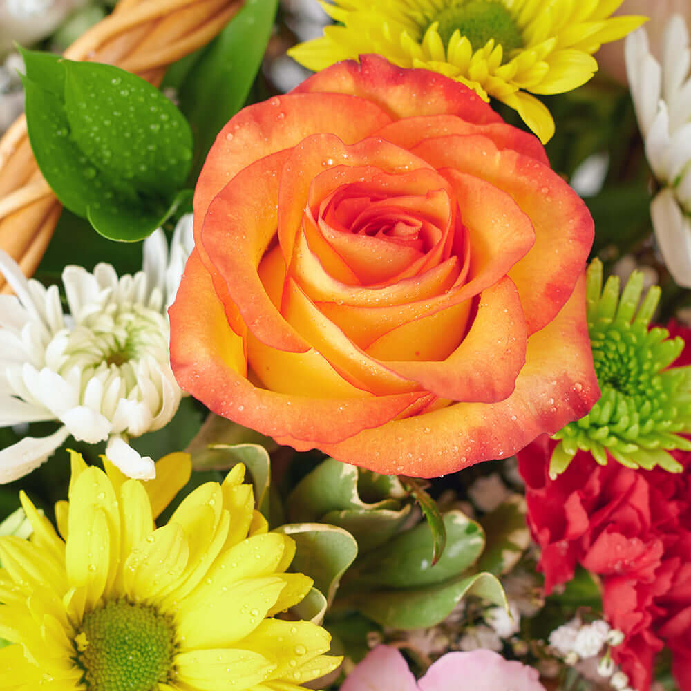 Spirits & Bountiful Mixed Rose Gift Set - Flower & Liquor Gift - Connecticut Delivery