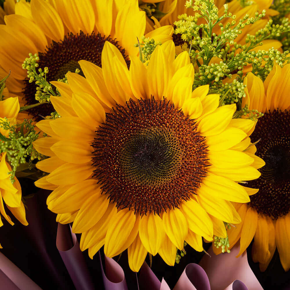 Summer Glory Sunflower Bouquet - Connecticut Blooms - Connecticut flower delivery