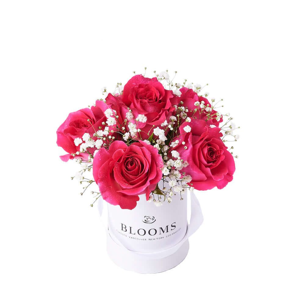 Tender Pink Rose Gift, gift baskets, floral gifts, mother's day gifts