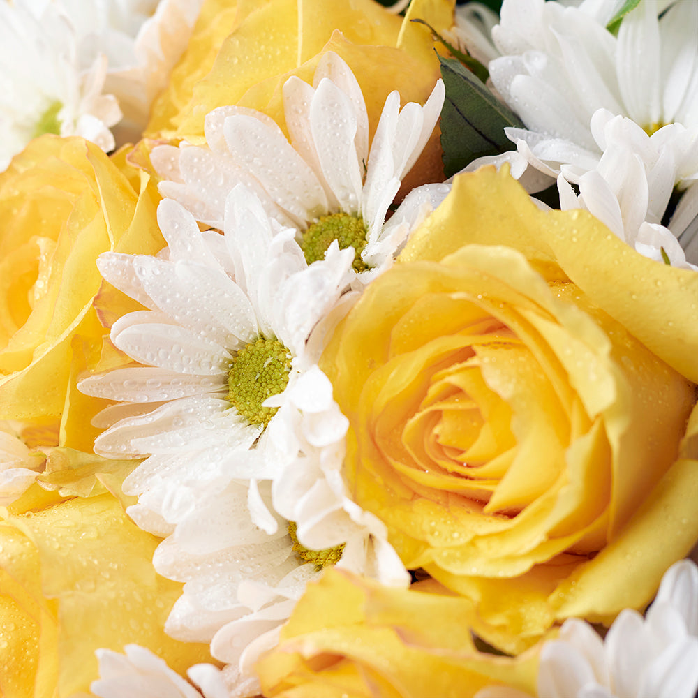 Floral Fantasy Daisy Bouquet from Connecticut Blooms - Mixed Flower Gift - Connecticut Delivery.