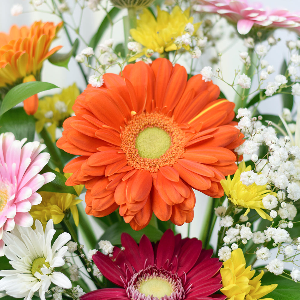 Pops of Cheer Mixed Floral Centerpiece - Floral Gift - Connecticut Delivery