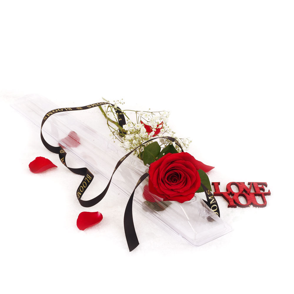 Baby's Breath with Red Rose Flowers – how the gift is presented