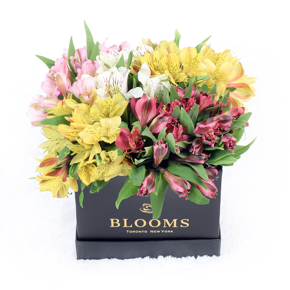 Peruvian Lily Floral Box – how the gift is presented