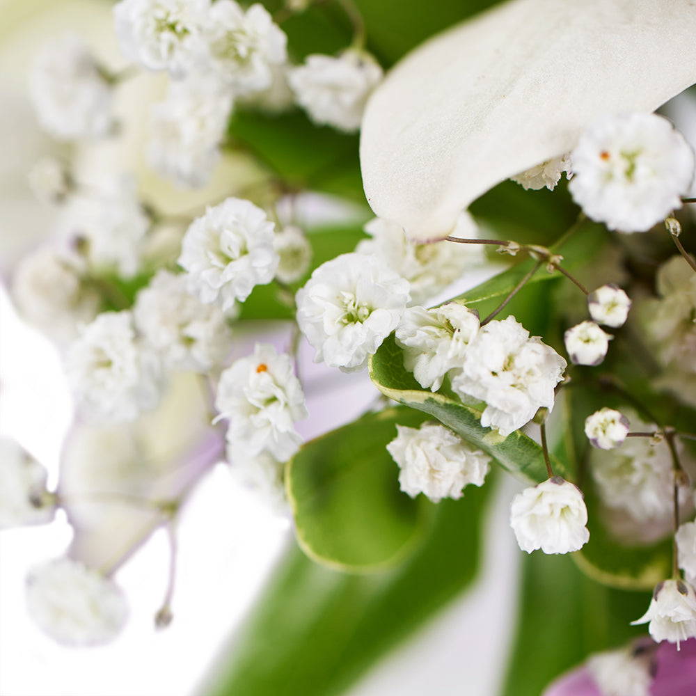 Spring Rose & Lily Arrangement – Floral Gifts – Connecticut delivery