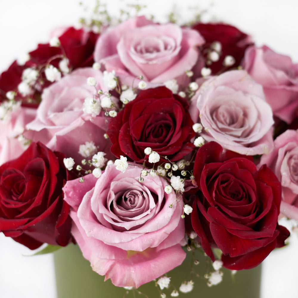 Elegant Rose Duo Arrangment - Mixed Roses - Mother's Day Gift - Connecticut Delivery