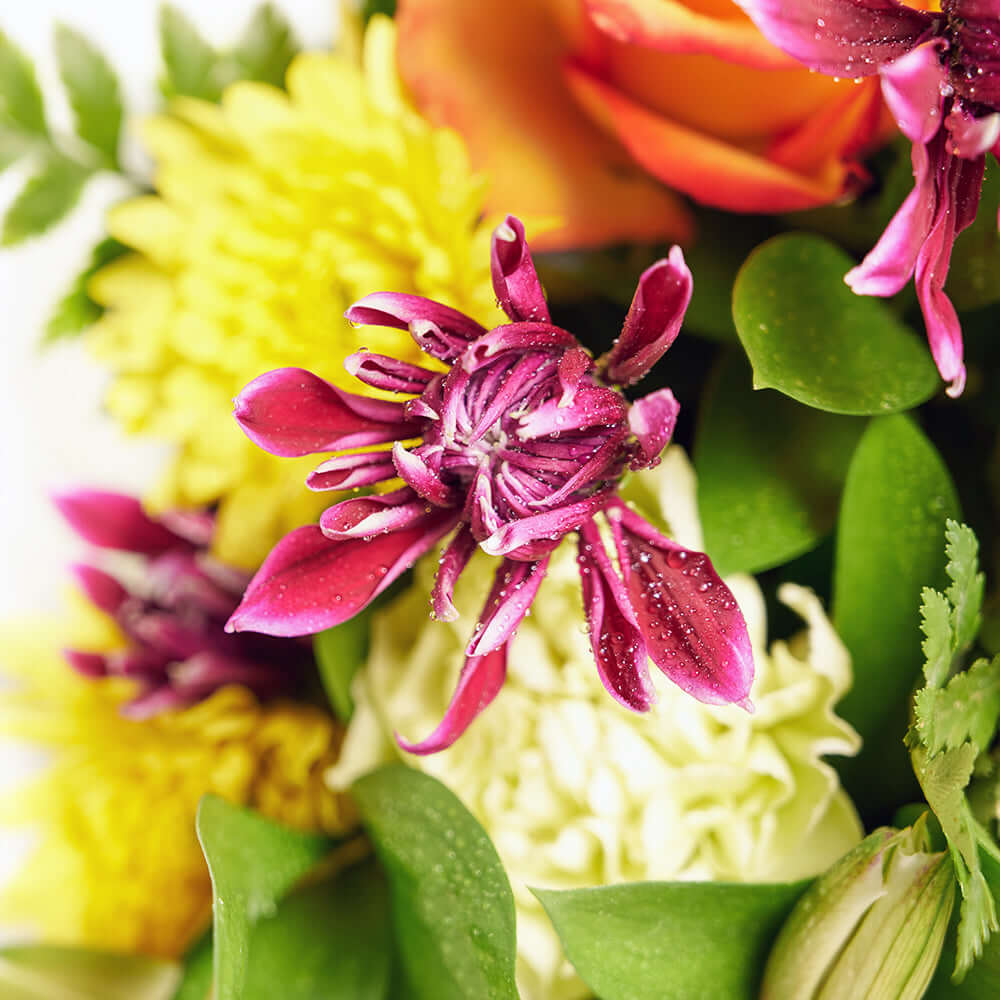 Tropical Shine Mixed Bouquet from Connecticut Blooms - Mixed Flower Gift - Connecticut Delivery.
