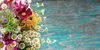 The Ultimate Guide to Growing Summer Flowers