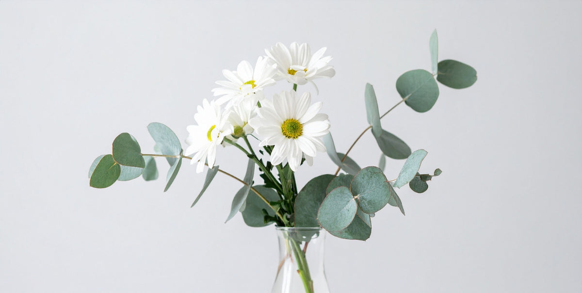 The Meaning of Fall Flowers for Thanksgiving