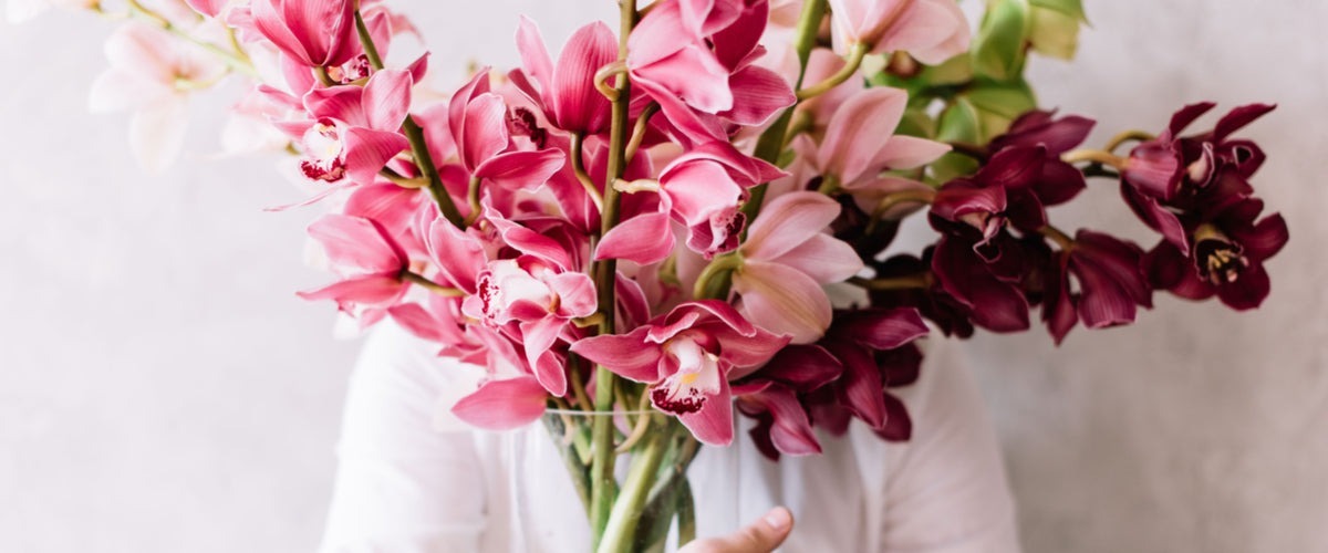 Orchids