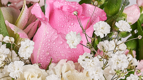 Fresh flowers for delivery across Connecticut