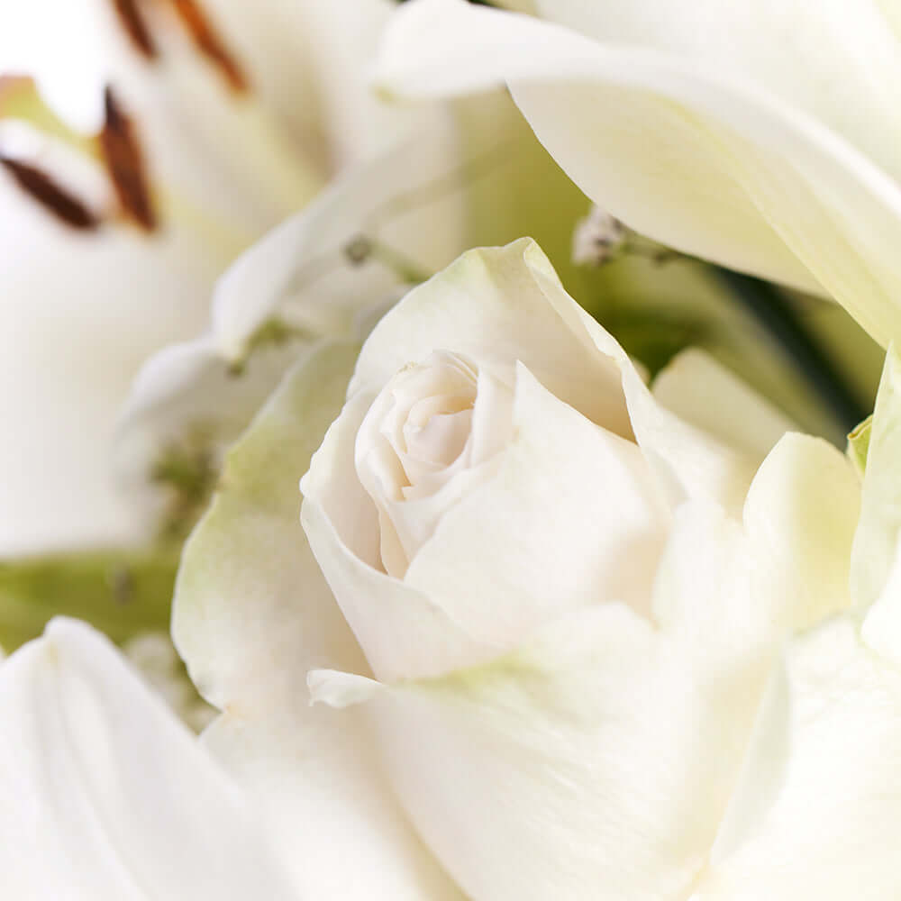 Alabaster Mixed Lily Arrangement - Flower Gift - Connecticut Delivery