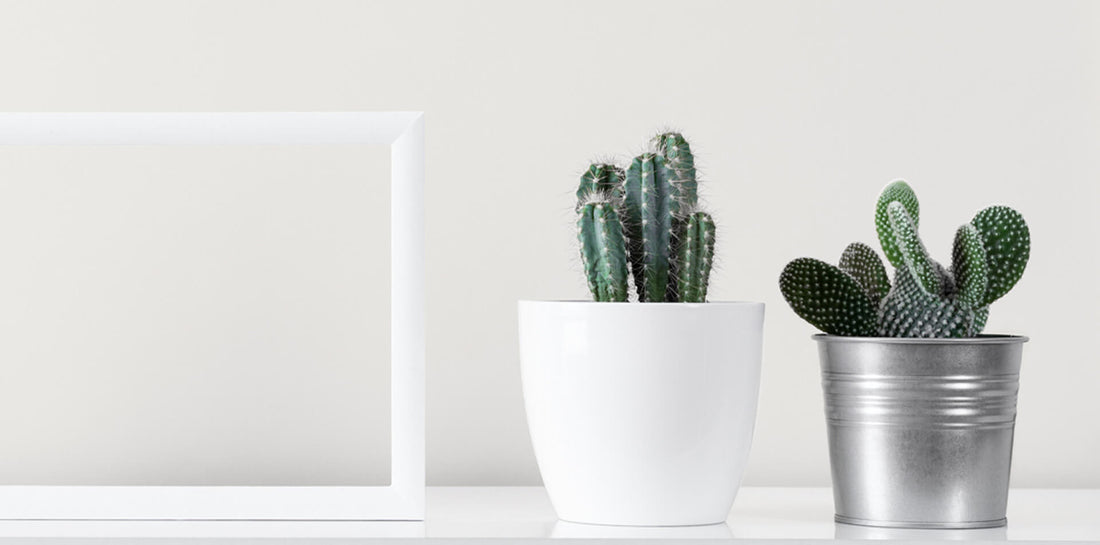 Connecticut Flower Delivery Connecticut's 1 Florist