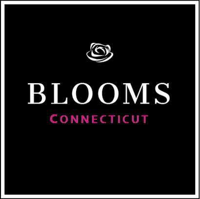 Connecticut Blooms