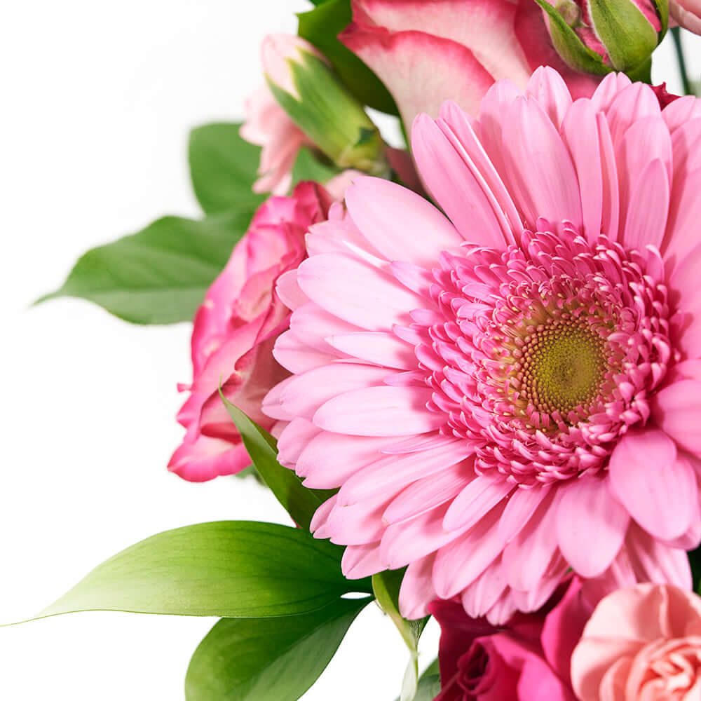 Colour Crazed Carnations Flower Gift - Mixed Floral Hat Box - Connecticut Delivery