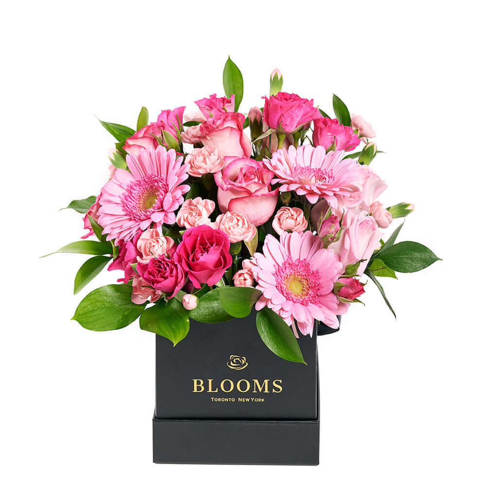 Colour Crazed Carnations Flower Gift - Mixed Floral Hat Box - Connecticut Delivery