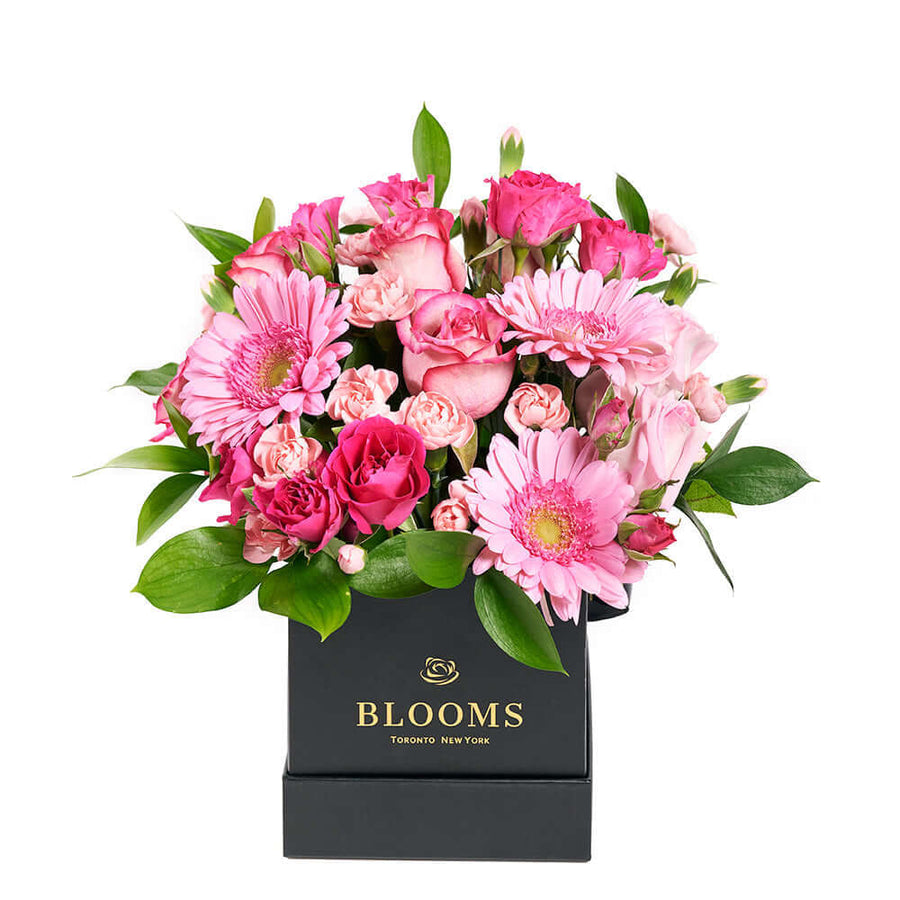 Colour Crazed Carnations Flower Gift - Mixed Floral Hat Box - Connecticut Delivery