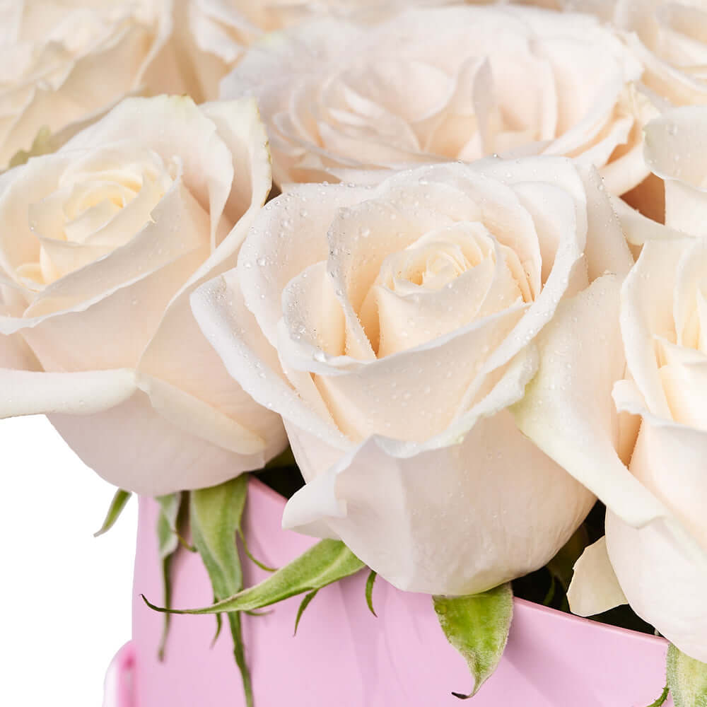 Classic White Rose Round Box Arrangement – how the gift is presented