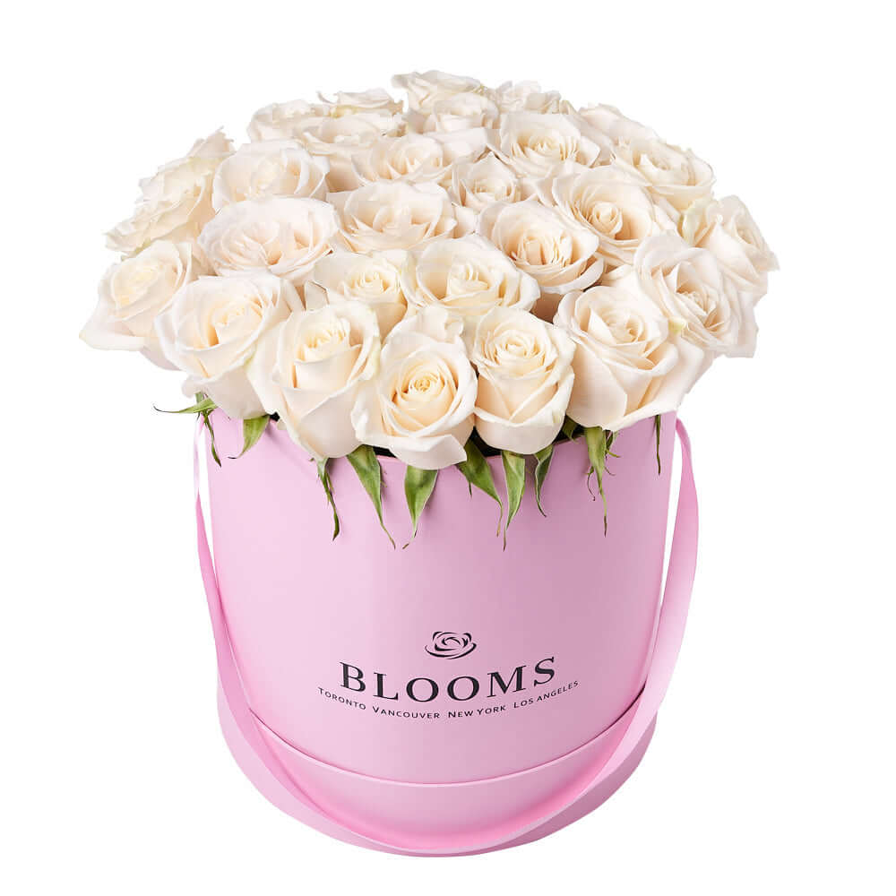 Delicate White Rose Gift, gift baskets, floral gifts, mother's day gifts