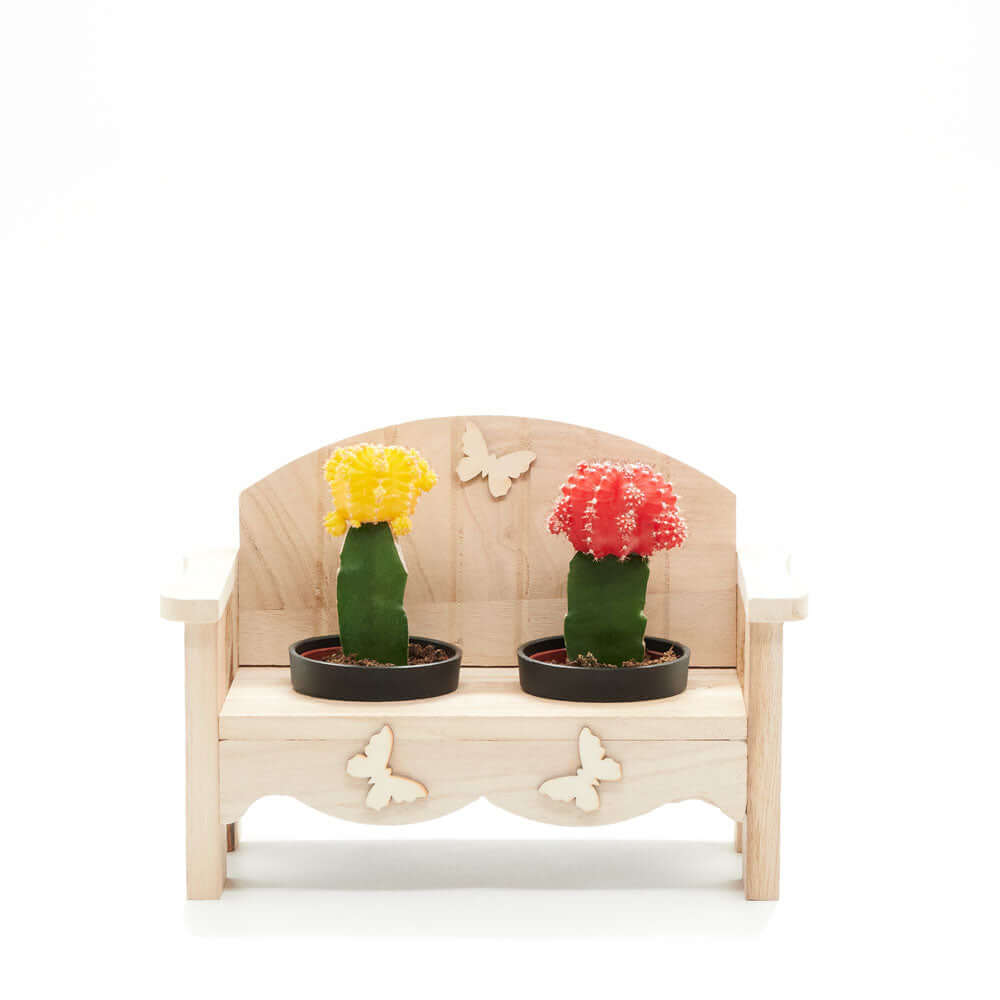Low-Maintenance Cactus Arrangement in Wooden Planter Bench – how the gift is presented