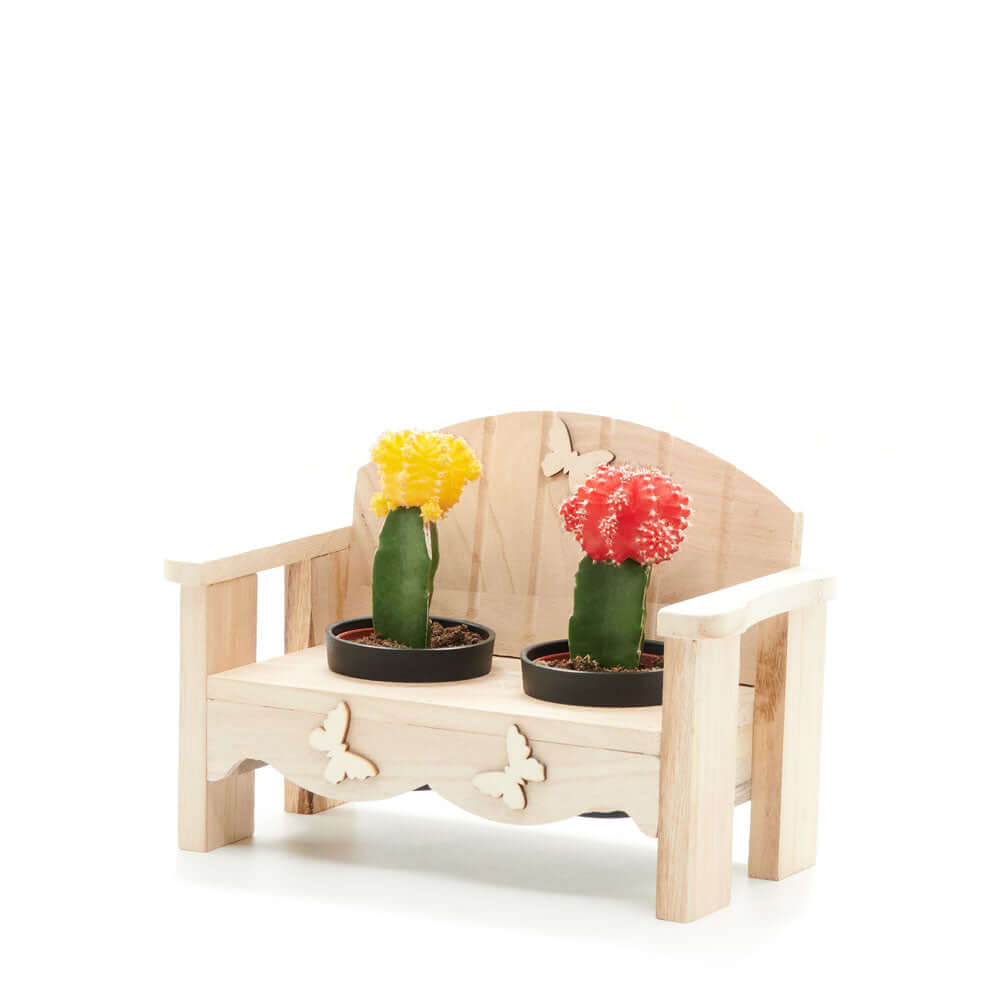 Desert Bench Cactus Arrangement, gift baskets, plant gifts, gifts, cactus, potted plant, succulent, Connecticut Delivery