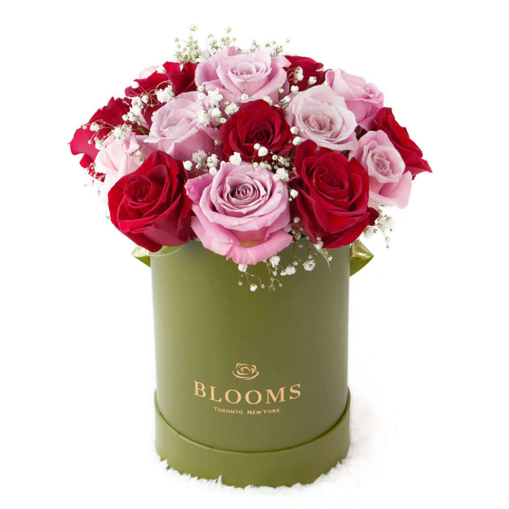 Elegant Rose Duo Arrangment - Mixed Roses - Mother's Day Gift - Connecticut Delivery