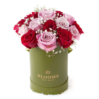 Elegant Rose Duo Arrangment - Mixed Roses - Mother's Day Gift - Connecticut Delivery