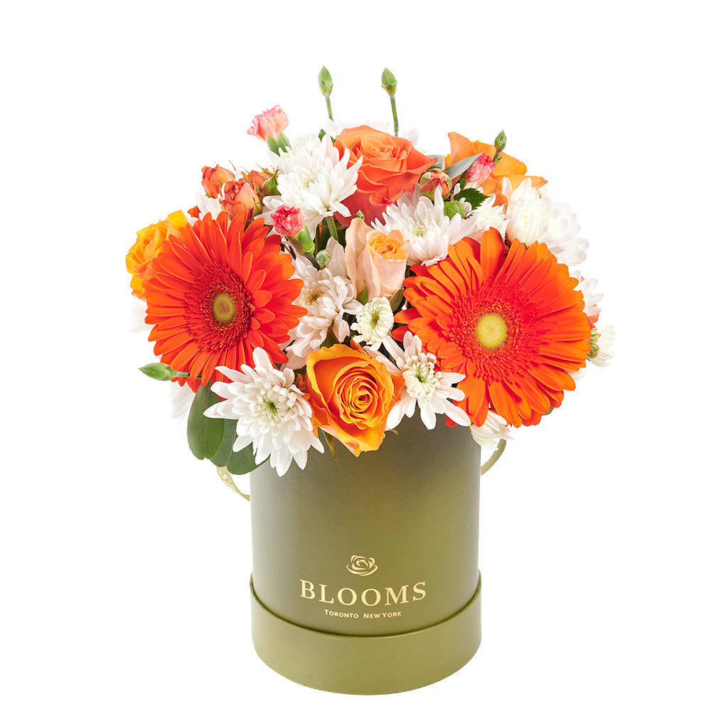 Custom Get Well Soon Gift Basket - Forever Young Daisy Box
