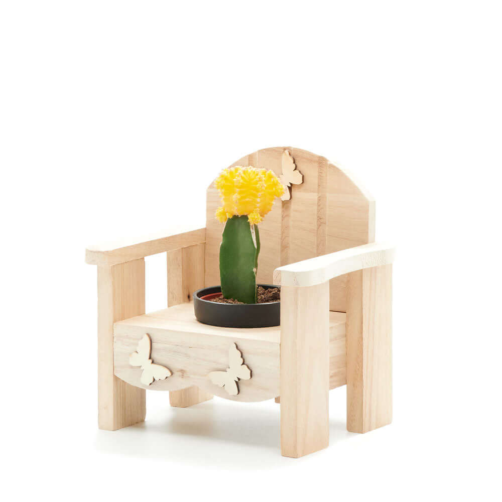Wooden Planter Chair with Potted Cactus Plant – how the gift is presented