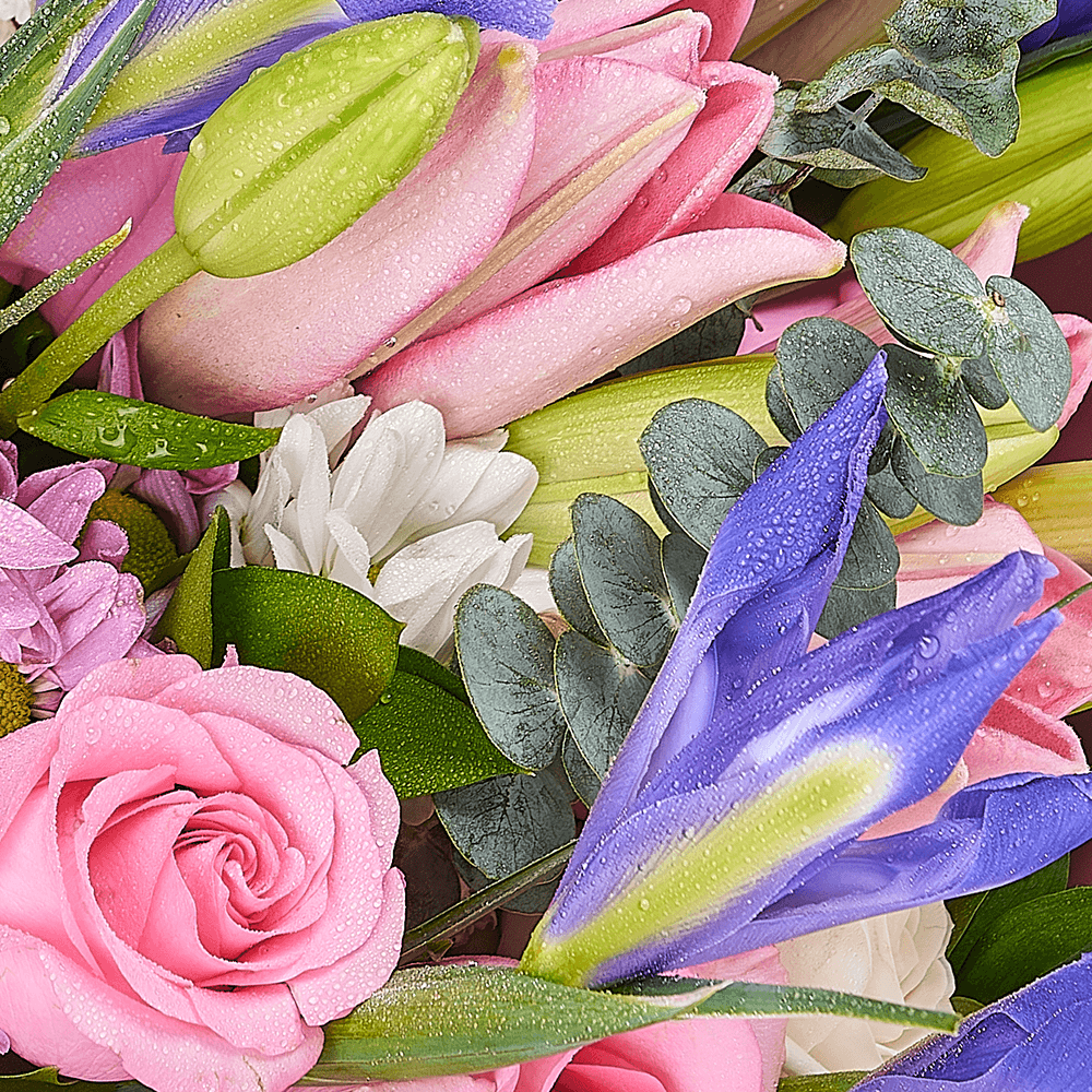 Lavender Whispers Iris Bouquet from Connecticut Blooms - Mixed Flower Gift - Connecticut Delivery.