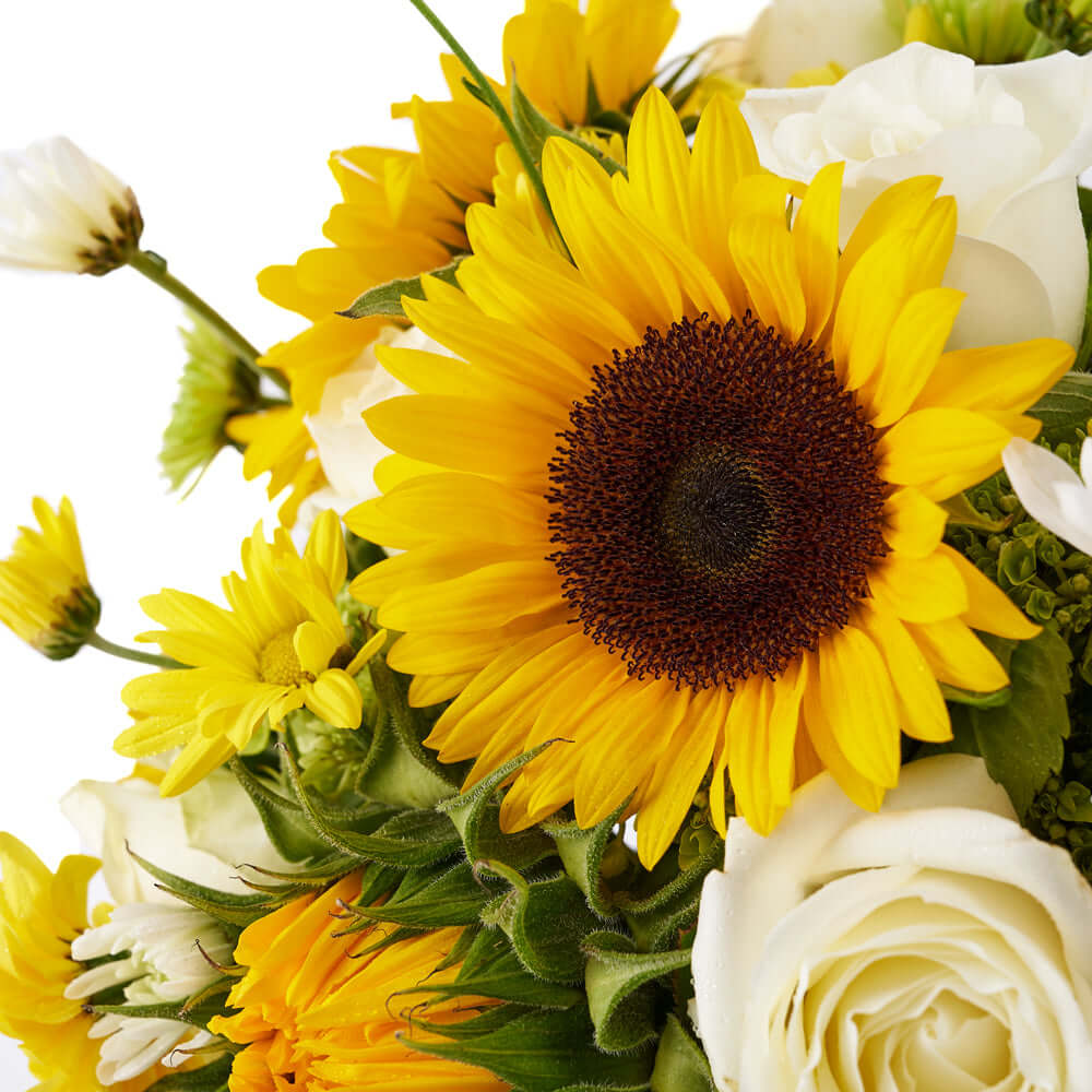 Lush Green Sunflower and Rose Arrangement in Tall Black Designer Box – how the gift is presented