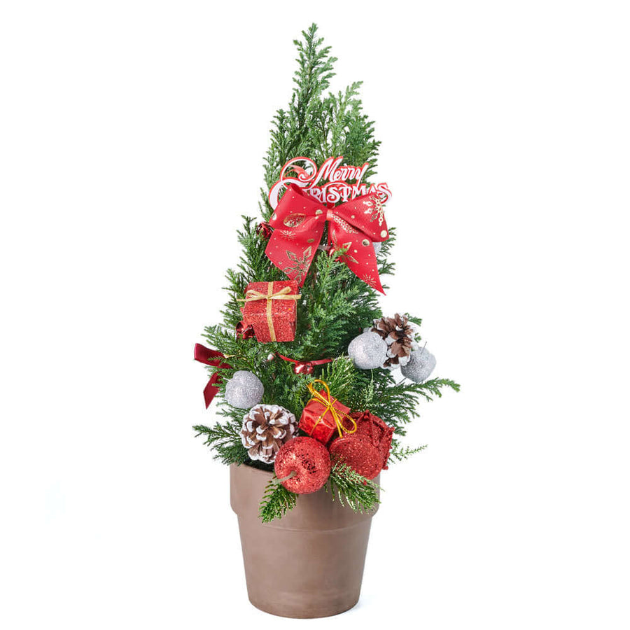 Decorate with ease when you get this beautiful Merry Decorated Mini Christmas Tree. Coming pre-decorated with Christmas ornaments and pine cones, this beautiful potted tree gives a lovely holiday feel to any space, big or small!