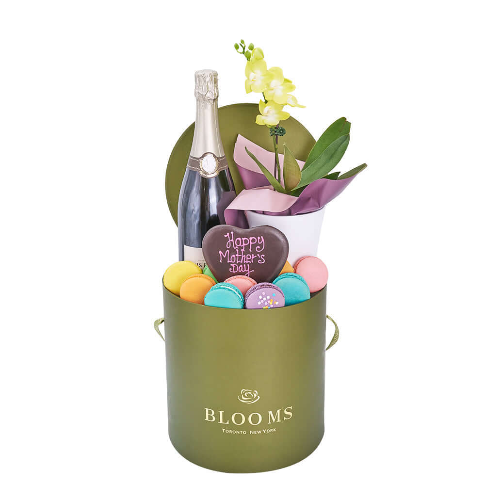 Mother’s Day Champagne, Orchid &amp; Treat Gift Box - Gift Basket Set - Mother's Day Gift - Connecticut Delivery