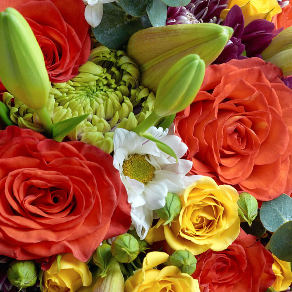 Love in Casablanca Mixed Rose Bouquet from Connecticut Blooms is a great gift to woo your beloved and whisk them away for a special celebration.