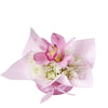 Orchid & Daisy Floral Gift Box, gift baskets, floral gifts, mother’s day gifts. Connecticut Delivery