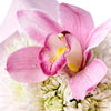 Orchid & Daisy Floral Gift Box, gift baskets, floral gifts, mother’s day gifts. Connecticut Delivery
