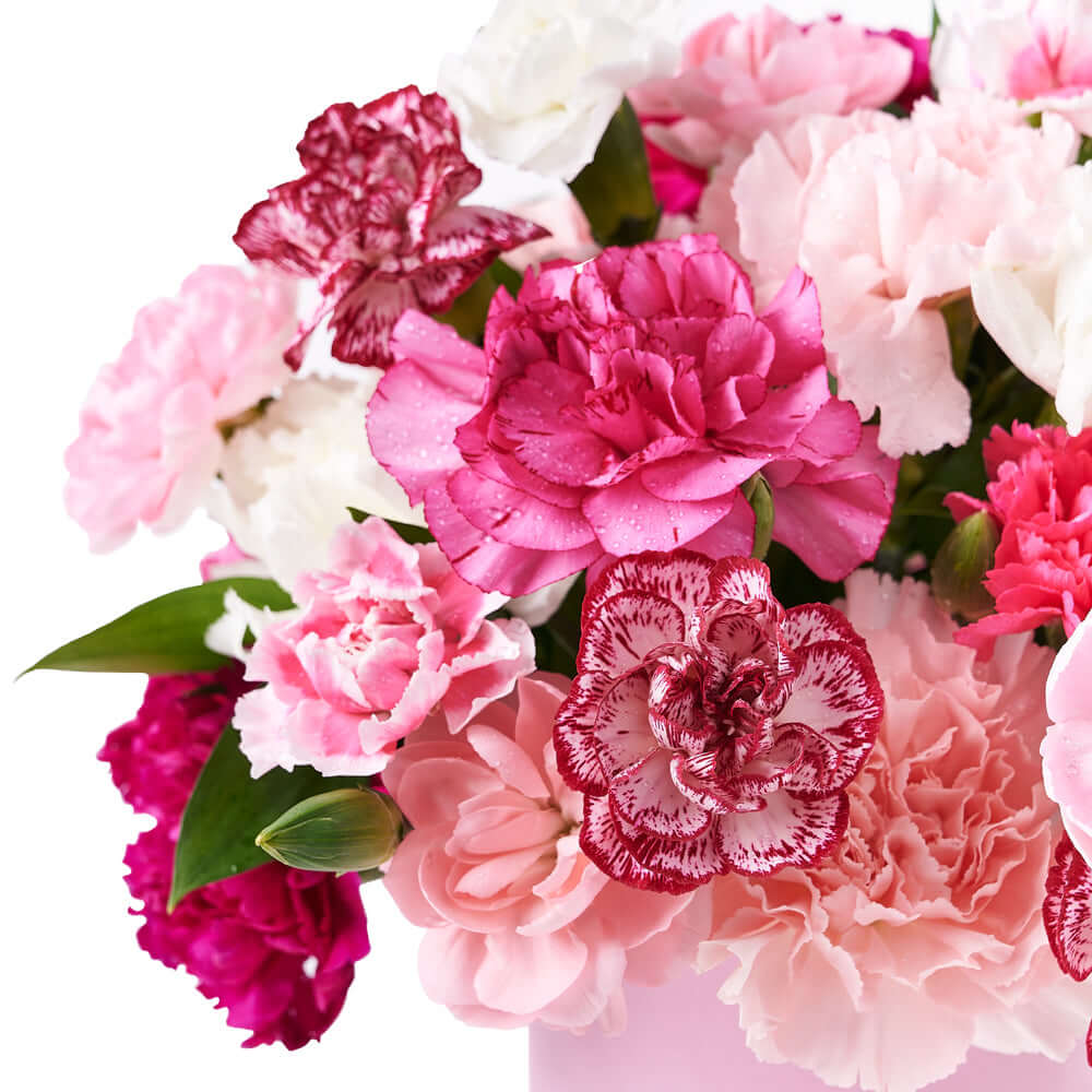 Pink and White Carnations in Round Hat Box – how the gift is presented
