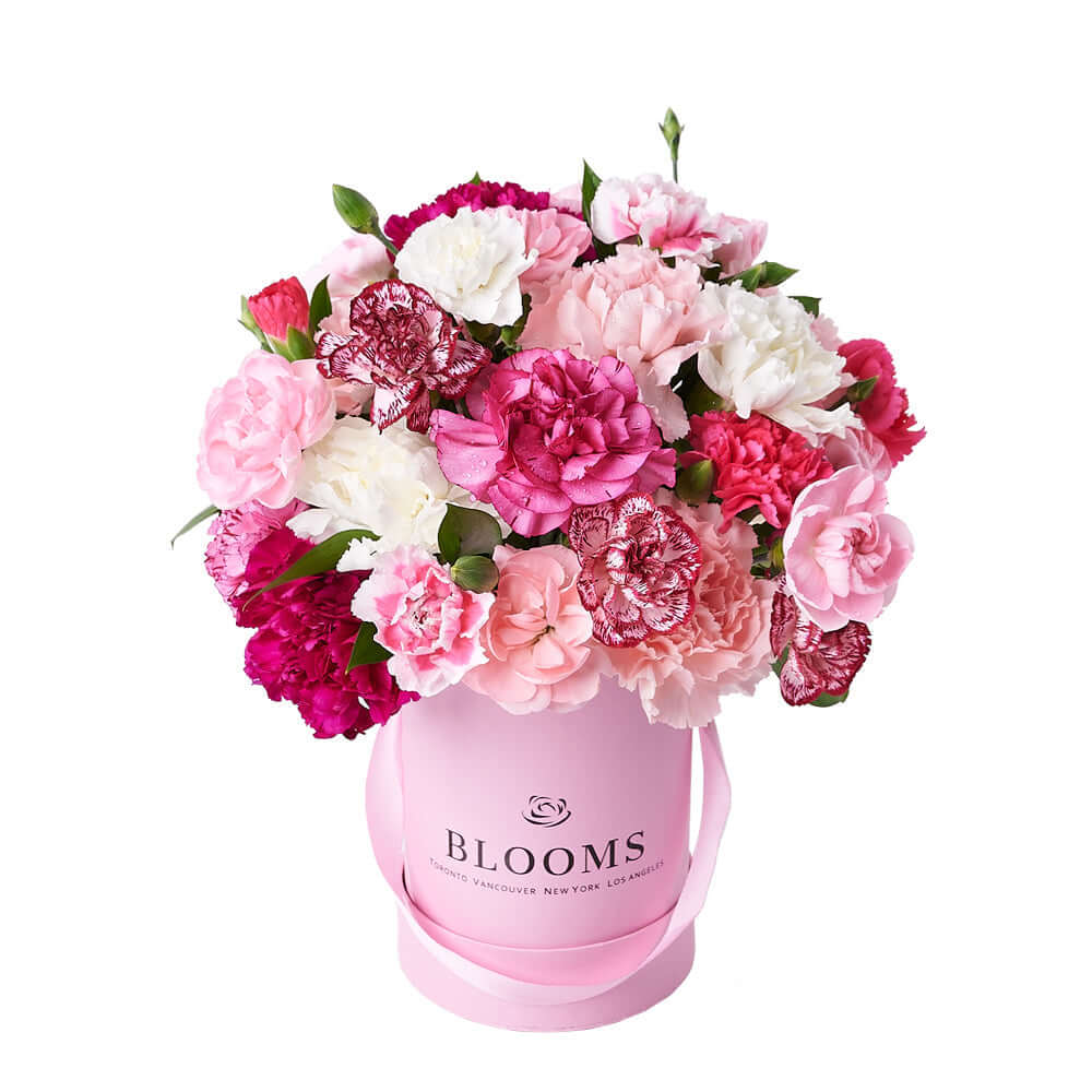 Perfectly Pink Carnation Gift Box, gift baskets, floral gifts, mother's day gifts. Connecticut Delivery