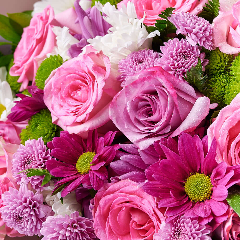 Pink & Purple Mixed Daisy Bouquet, rose gift, daisy gift, mixed bouquet. Connecticut Delivery