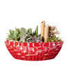 Potted Christmas Plant Arrangement from Connecticut Blooms is a beautiful plant arrangement that will delight your recipient.