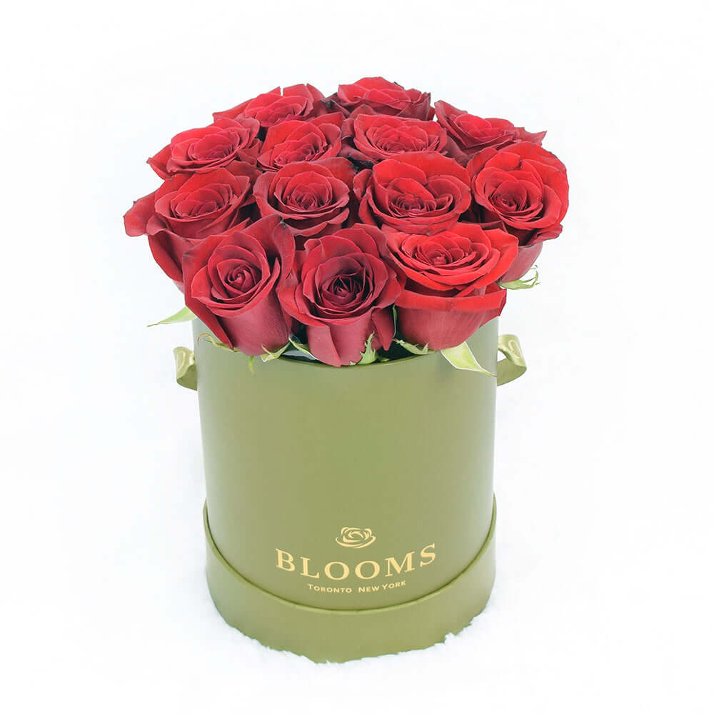 Red Rose &amp; Spring Green Gift Box Connecticut Delivery