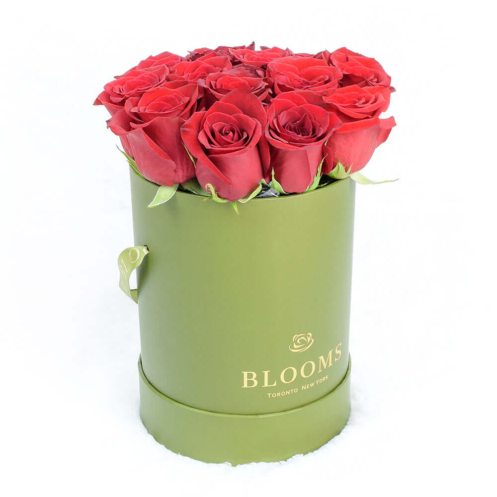 Red Rose &amp; Spring Green Gift Box Connecticut Delivery