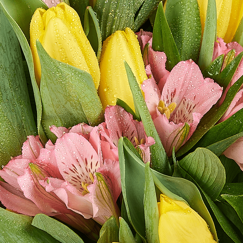 Spring Radiance Mixed Bouquet, tulip gift, tulips, flower gift, flower, seasonal flower gift, seasonal flower, Connecticut delivery