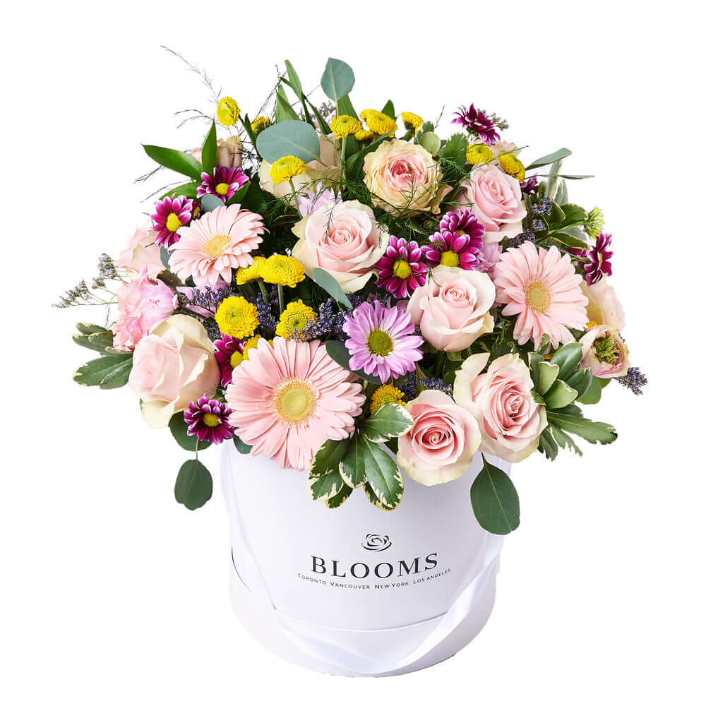 Striking Mixed Garden Arrangement, gift baskets, floral gifts, mother's day gifts Connecticut Delivery