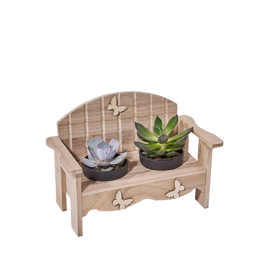 Succulent Greenhouse Garden Bench, plant gift, plant, succulent gift, succulent, Connecticut delivery