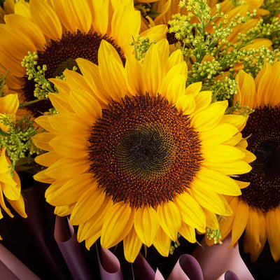 Summer Glory Sunflower Bouquet - Connecticut Blooms - Connecticut flower delivery