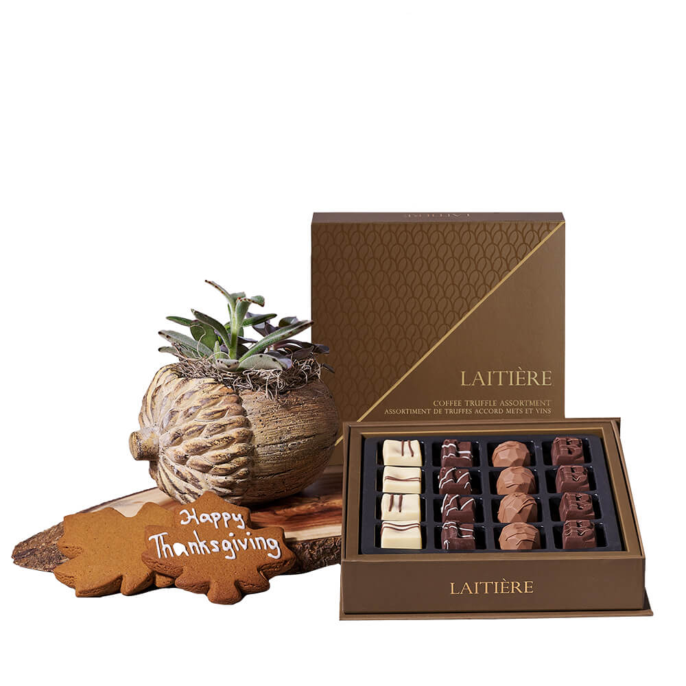 Thanksgiving Succulent &amp; Cookie Gift, thanksgiving gift, thanksgiving, chocolate gift, chocolate, plant gift, plant