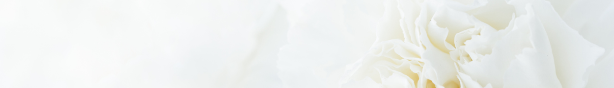 Same day flower delivery Toronto – Toronto flowers gifts